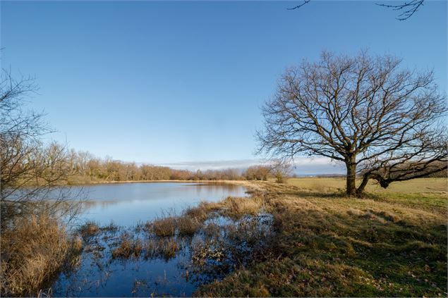 Etang Petites Routes - M. Zeilfelder