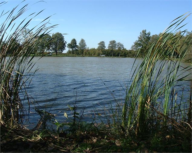 Etang de la Niziere - Communauté de Communes de la Dombes