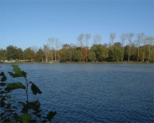 Etang Grand Chaux - Communauté de Communes de la Dombes