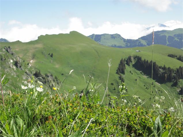 Vue sur la Pointe des Mattes - 2CVA