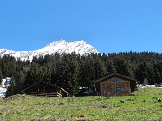 Les Montagnettes Plan Fournier - Le Planay - N Mousselard