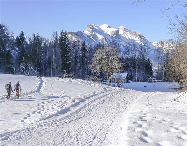 piste de ski nordique - Numerica photo club