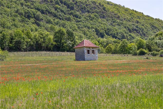 Lhuis Bugey - Marilou Perino