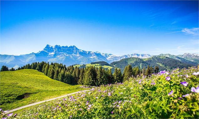 Les Dents du Midi