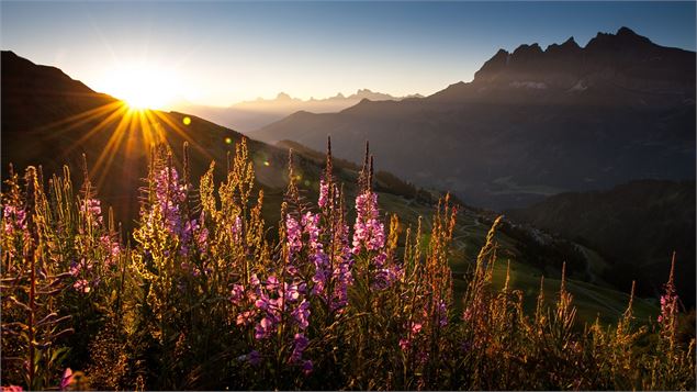 Les Dents du Midi