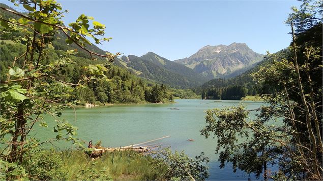 Vue sur le Roc d'Enfer - OTADL