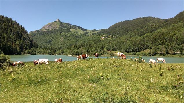 Vue sur Tré le Saix - OTADL