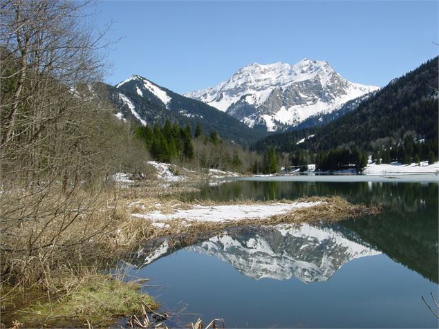 Lac au printemps - OTADL