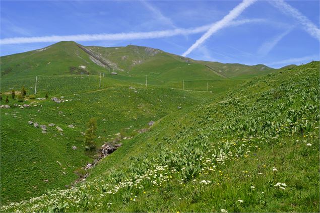 Champ pérouse - OT