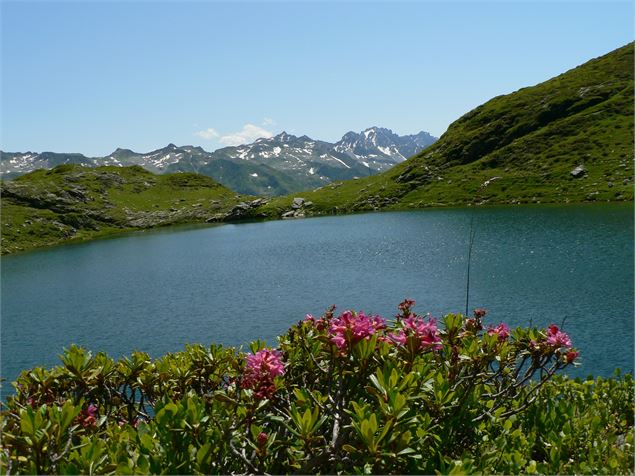 Lac Noir - ©SavoieMontBlanc-Lansard