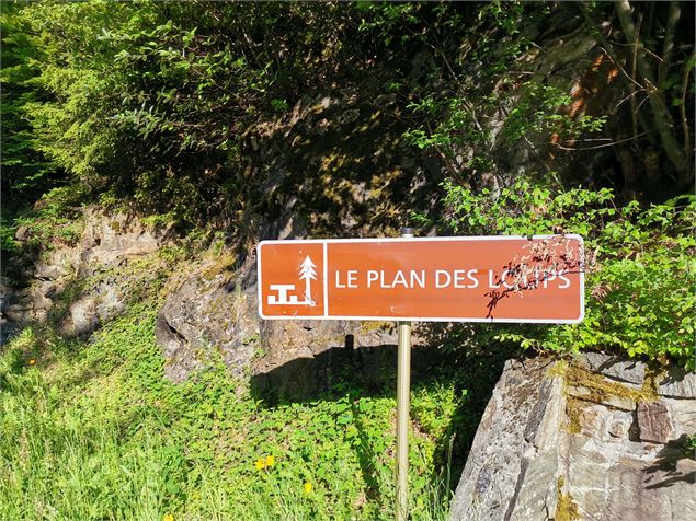 Le Plan des Loups