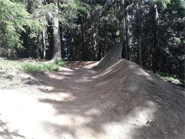 DH VTT - Lovely Woods - E. Molle