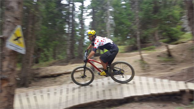 DH VTT - Dré dans l'pentu - N. Joly