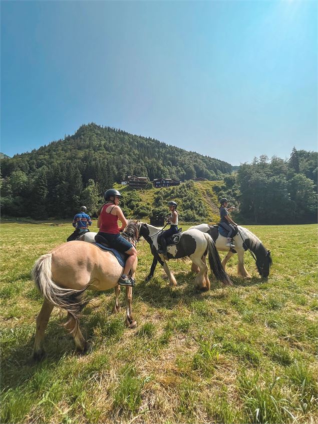 Balade à cheval - Sam Ingles