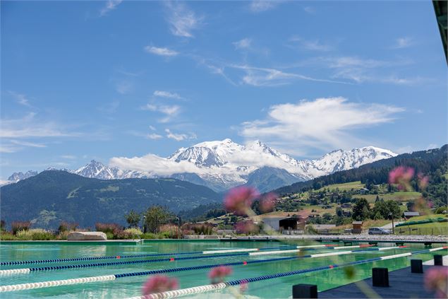 lignes d'eau vue mont-blanc - OT Combloux