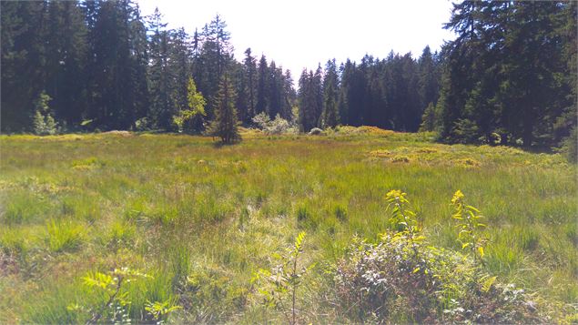 Lac des Saisies - Office de Tourisme des Saisies