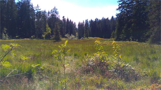 Lac des Saisies - Office de Tourisme des Saisies