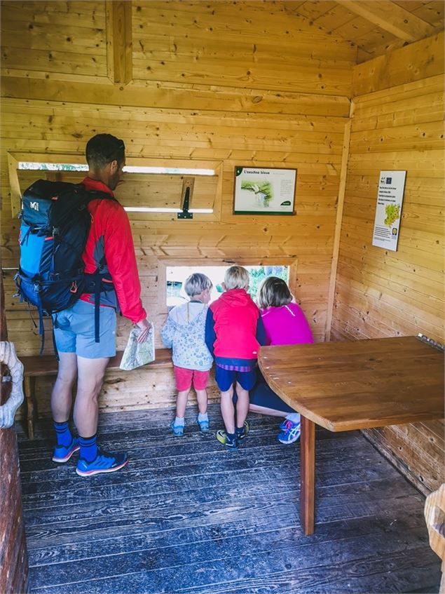 Sentier des Arpelières - Découverte d'une véritable tourbière préservée - Office de Tourisme des Sai