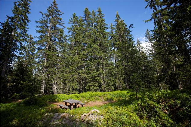 Sentier flore et milieux naturels - P. Somelet