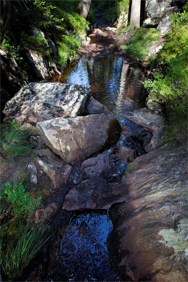 Sentier flore et milieux naturels - P. Somelet