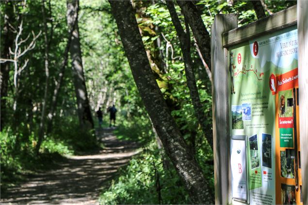 Sentier de Sorlinette - OT SSA