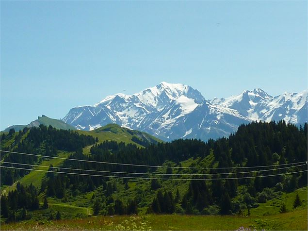 Le Tour du Chard du Beurre - K.Mandray