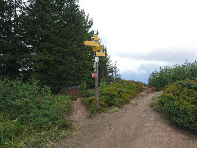 Le Tour du Chard du Beurre - K.Mandray