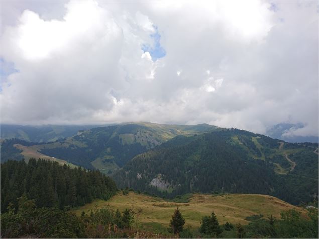 Le Tour du Chard du Beurre - K.Mandray