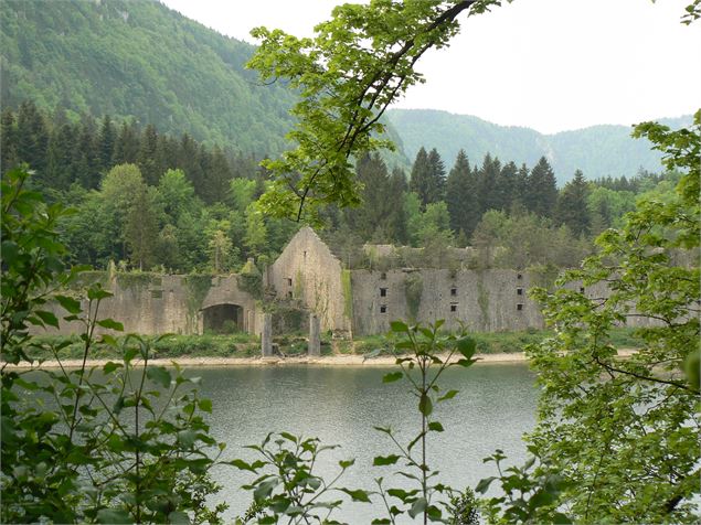 Vue depuis la RD 1084 - TourismeHautBugey_2014_Marc_Chatelain