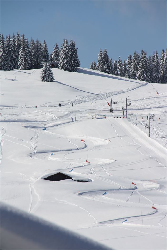 Boardercross de la forêt - M. Dalmasso