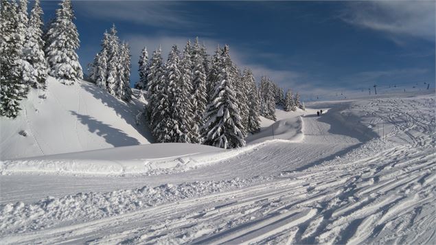 Boardercross de la Palette - M. Dalmasso