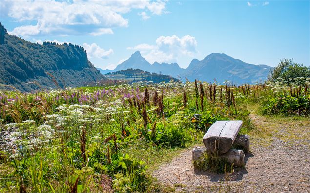 Un banc situé aux abords du lac avec vue sur la Pointe Percée en fond - OT Flaine-Candice Genard