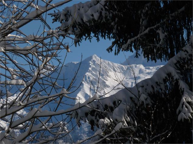 Chemin des Abérus en raquettes - OT Porte de Maurienne