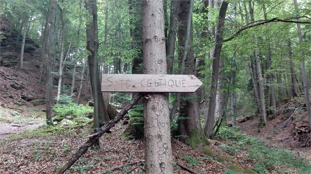 Sentier des Gures - OT Vallée de Chamonix MB