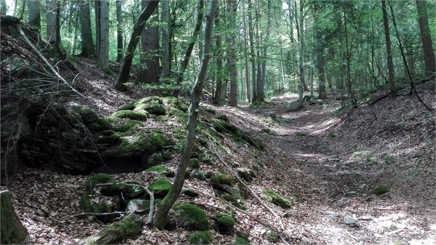 Sentier des Gures - OT Vallée de Chamonix MB