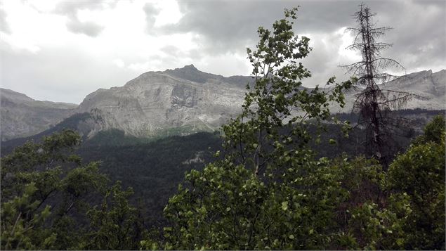 Sentier des Gures - OT Vallée de Chamonix MB