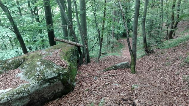 Sentier des Gures - OT Vallée de Chamonix MB