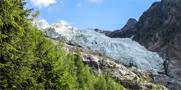 Point de Vue Cerro - OT Vallée de Chamonix MB