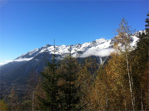 Petit Balcon Nord - vue sur les Aiguilles Rouges