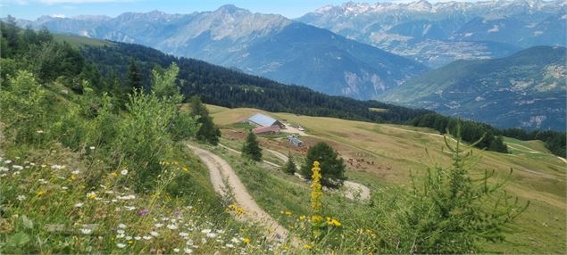 sentier - ©Chapuy Julien