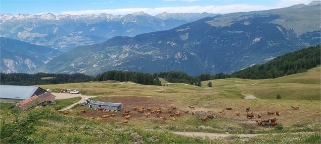 Site d'alpage - ©Chapuy Julien