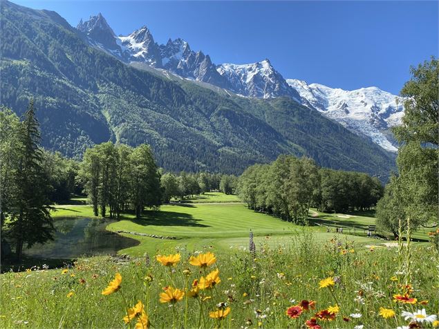 Trou N°9 - golf de chamonix