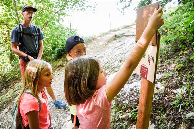 Randonnée enfants au sentier de la forêt - T. Vattard