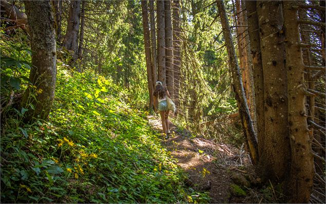 Le long du sentier en direction du lac de Flaine - OT Flaine-Candice Genard