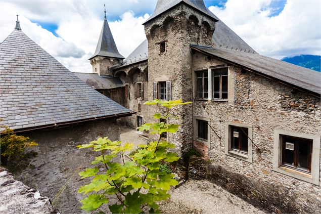 Château Manuel de Locatel - P Morel