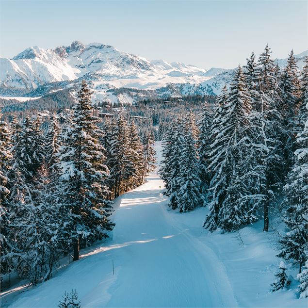 Une piste bleue est damée et ensoleillée, les sapins sont remplis de neige - Courchevel Tourisme