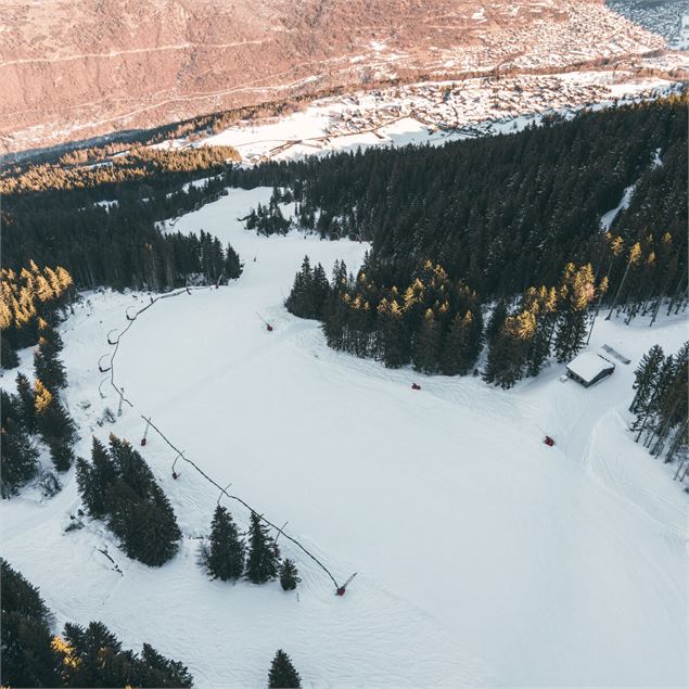 Les sapins du domaine se dressent le long de la piste de l'Eclipse - Courchevel Tourisme