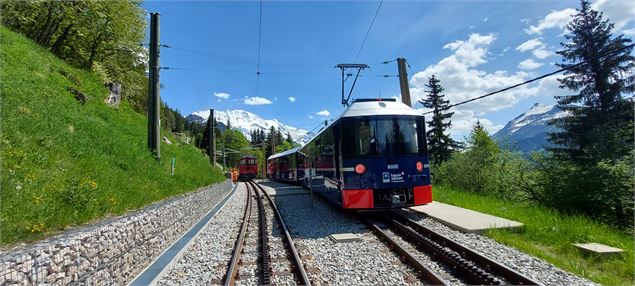 Tramway du Mont-Blanc - Bernard Tartinville