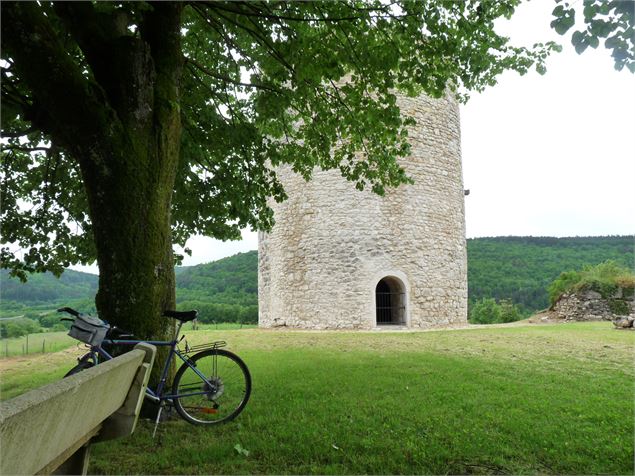 Parcours VTT 65 bleu - Plaine de Saint Martin - Espace FFC Ain Forestière - OT Nantua