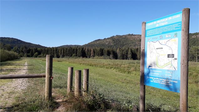 Parcours VTT 65 bleu - Plaine de Saint Martin - Espace FFC Ain Forestière - OT Nantua